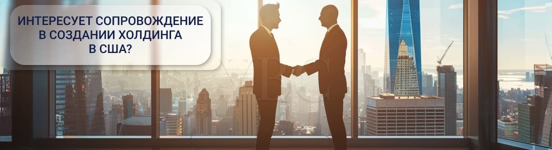 холдинг в США