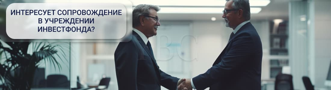 Компании специального назначения как инструмент в сфере инвестирования