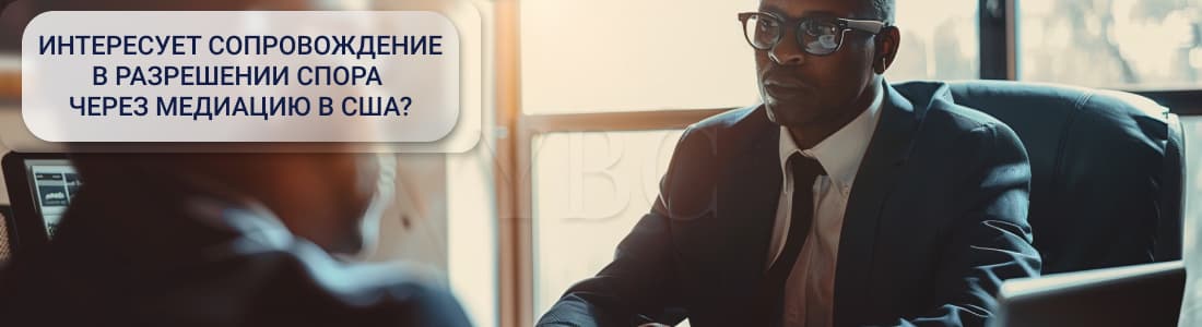 Выбор медиатора в США