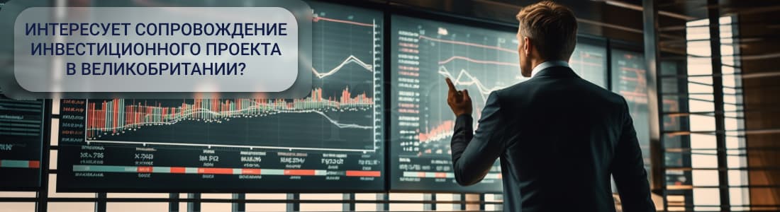 сопровождение инвестиционной деятельности 