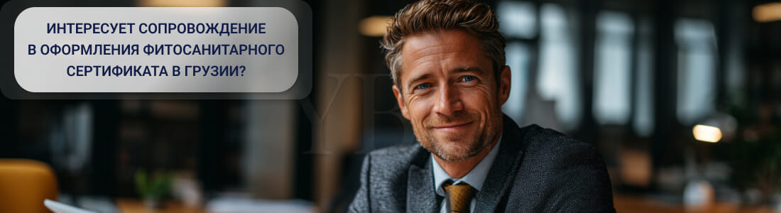 Получить фитосанитарный сертификат в Грузии: основания, требования, процесс