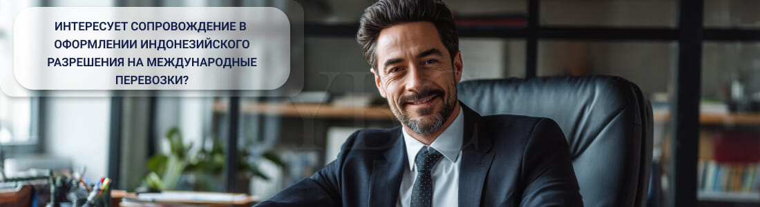 Получить лицензию на международные перевозки SIUJPT в Индонезии