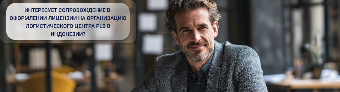 Получить лицензию на таможенный логистический центр PLB в Индонезии