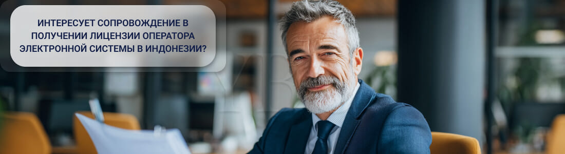 Получить лицензию оператора электронной системы в Индонезии