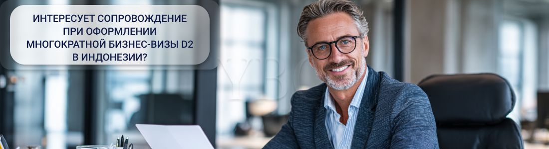Получить многократную бизнес-визу — D2 в Индонезии