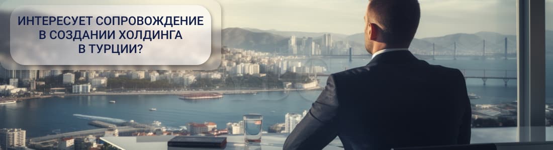 Создание холдинга в Турции