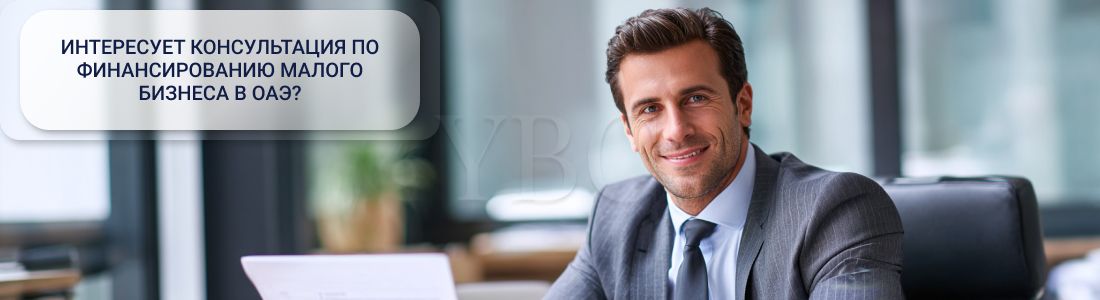 Финансирование малого бизнеса в ОАЭ