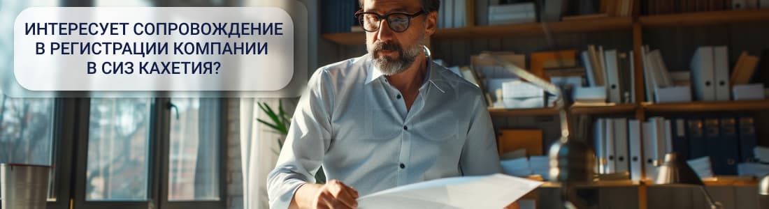 Регистрация компании в СИЗ Кахетия