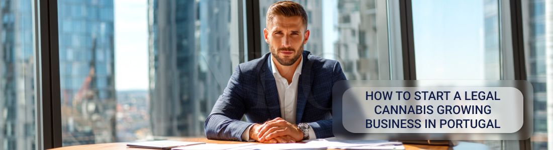 Как создать законный бизнес по выращиванию каннабиса в Португалии