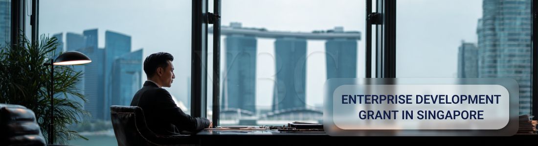 Enterprise Development Grant в Сингапуре