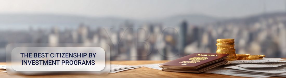 最佳投资移民项目：如何选择适合自己的方案