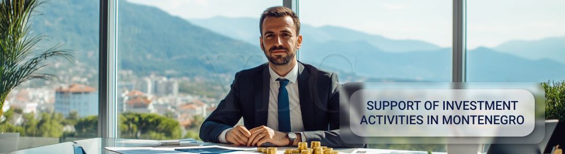 Сопровождение инвестиционной деятельности в Черногории: от идеи до результата