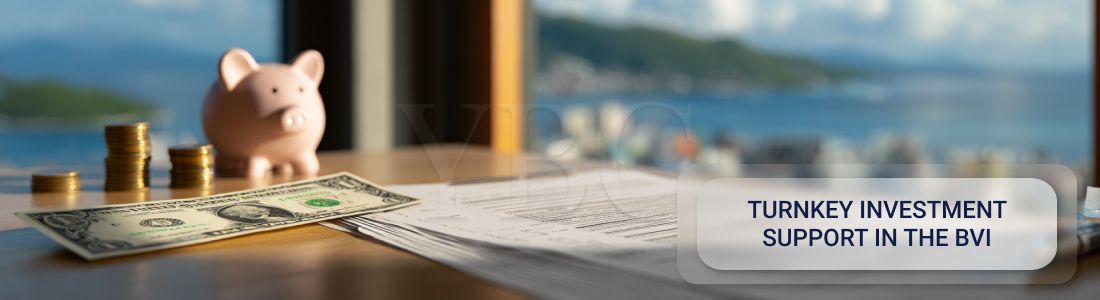 英属维尔京群岛（BVI）投资活动的全程法律支持