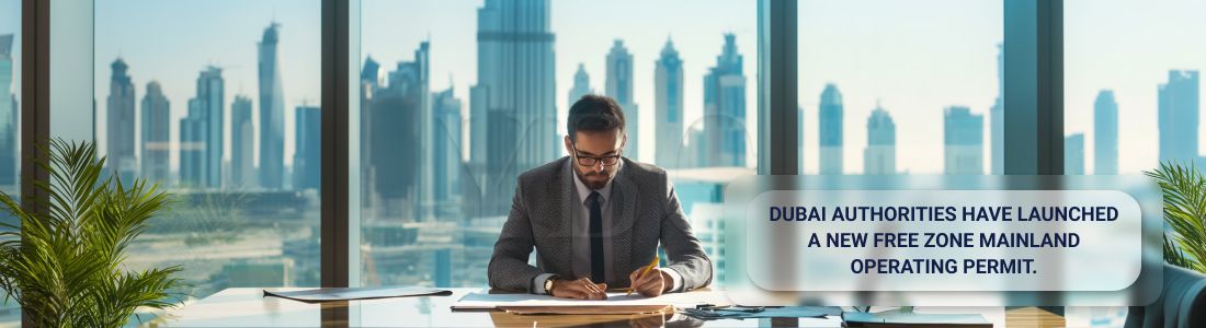 Власти Дубая запустили новое разрешение Free Zone Mainland Operating Permit