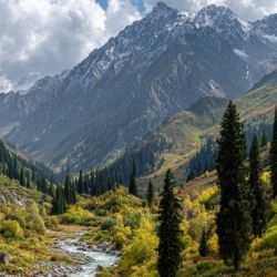 Открытие компании в Кыргызстане