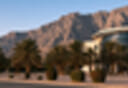 RAK DAO