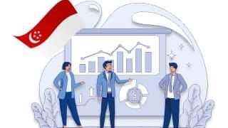 Сопровождение инвестиционной деятельности в Сингапуре