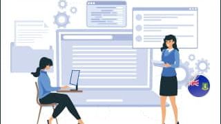 Директора компаний на БВО будут включены в публичный реестр