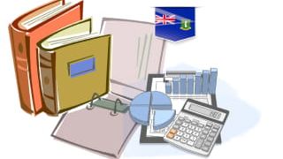 БВО оголошують про запровадження нового щорічного збору для порталу звітності