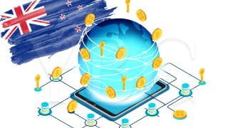 Открытие компании для криптовалютной деятельности в Новой Зеландии