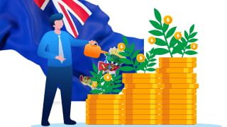 Как создать закрытый фонд на Каймановых островах?