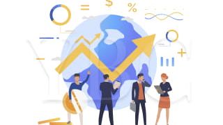 What is an international trust fund?