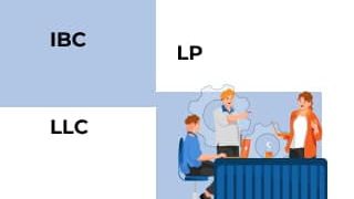 Чем отличаются LP, LLC и IBC