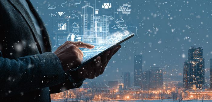 Кейс: Релокация IT-компании в Грузию и получение ВНЖ через бизнес