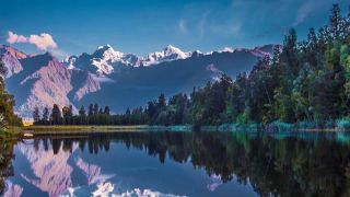 Выбор новозеландских форекс брокеров для форекс трейдинга