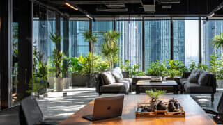 Открыть IT-компанию во Вьетнаме