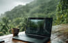 Получить Digital Nomad-визу в Доминике