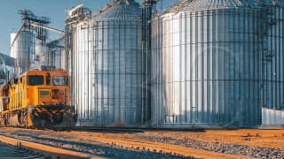 Лицензия на экспорт/импорт отдельных с/х товаров по квотам в Казахстане