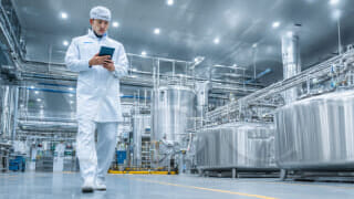 Получить лицензию на молочный завод в Гонконге