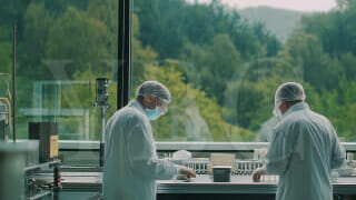 Получить лицензию на производство пиротехнических изделий в Грузии