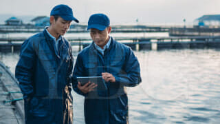 Получить лицензию на рыбоводческое хозяйство в Сингапуре (Fish Culture Farm Licence)