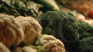 Получить сертификат об отсутствии возражений для выдачи лицензии на торговлю пищевыми продуктами в Дубае