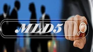 MLD5 в Великобритании: изменения для бизнеса