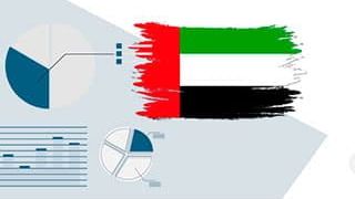 A business registration in the UAE