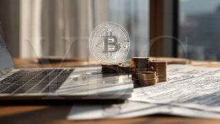 Открытие компании для криптобизнеса на Британских Виргинских островах