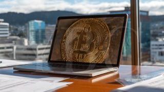 Открытие компании для криптовалютной деятельности в Новой Зеландии