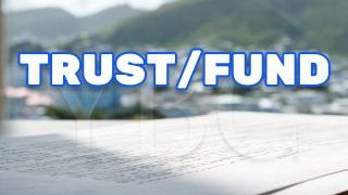 Сравнение траста и фонда Невиса: как эффективно защитить активы