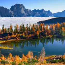 Регистрация компании в Вайоминге